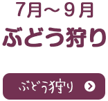 7月～9月ぶどう狩り