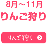 8月～11月りんご狩り