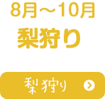 8月～10月梨狩り