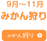 9月～11月みかん狩り